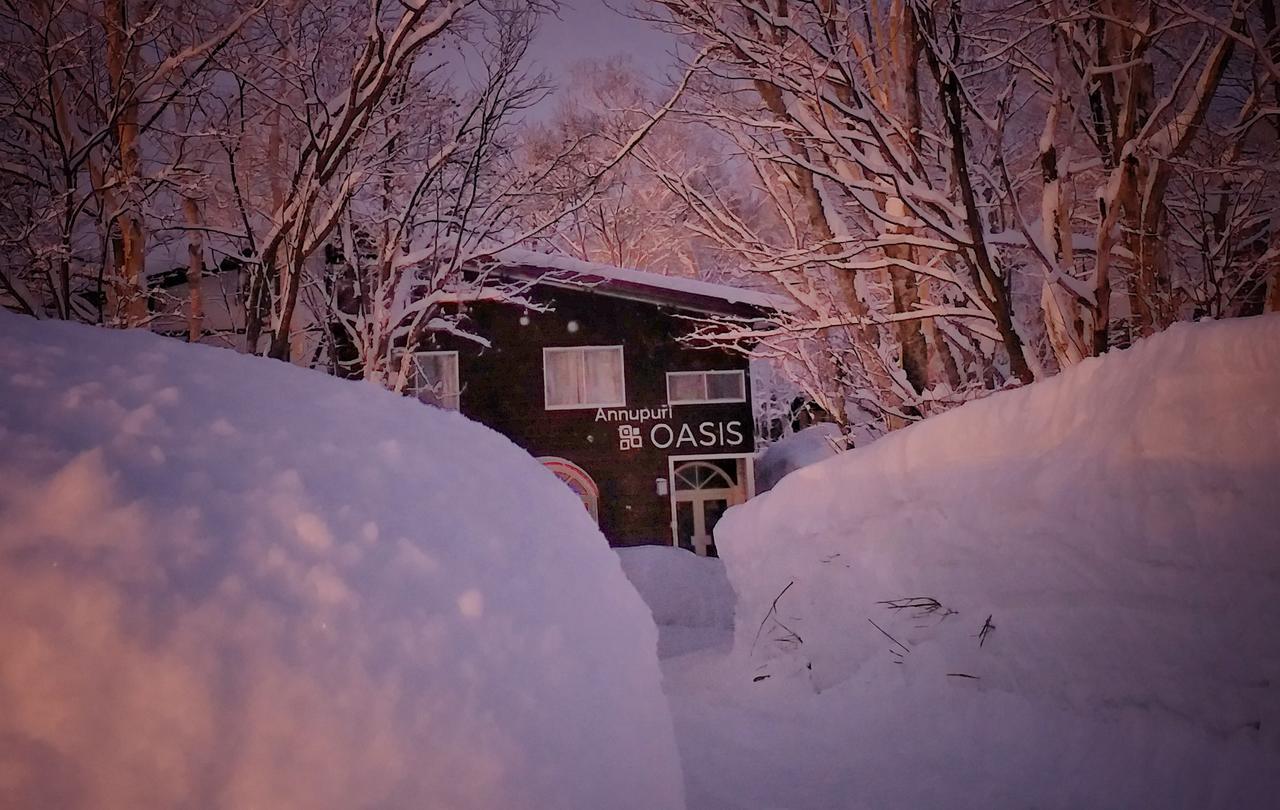 二世古 安努普利绿洲小屋旅馆酒店 外观 照片